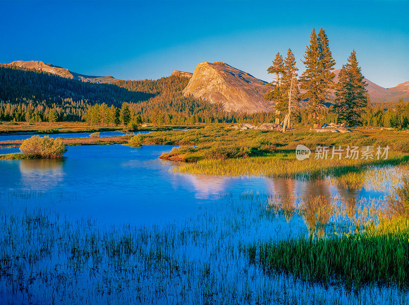 约塞米蒂国家公园Tioga Pass附近的Tuolumne草地